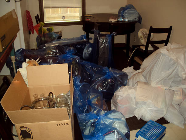 Attic Cleanout Services in Rosita, TX